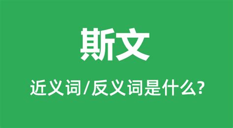 斯文意思